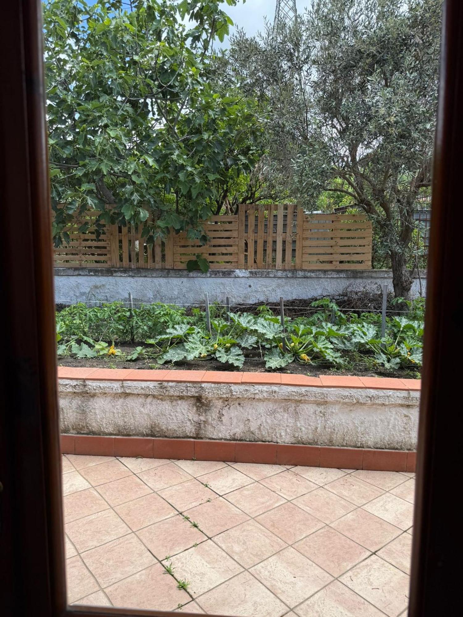 B&B Ioli Vesuvio 에르콜라노 외부 사진